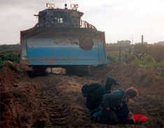http://andrelevy.net/photos/struggle/palestine/bulldozer3_rachel_down.jpg